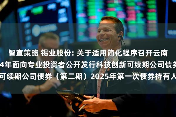 智宣策略 锡业股份: 关于适用简化程序召开云南锡业股份有限公司2024年面向专业投资者公开发行科技创新可续期公司债券（第二期）2025年第一次债券持有人会议的通知